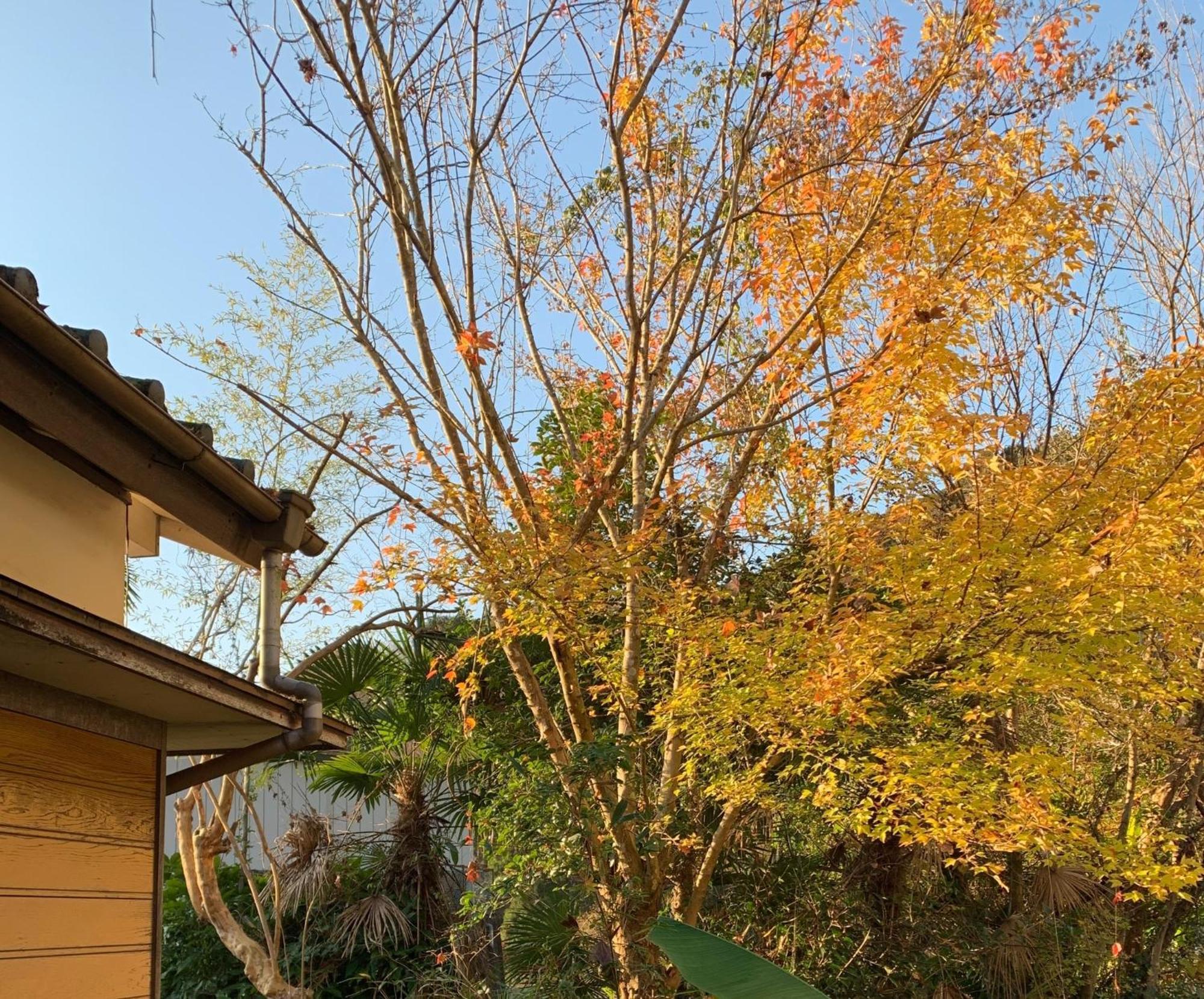 Hoshiyama B Extra For Pets - Vacation Stay 13934V Fujinomiya Exterior foto